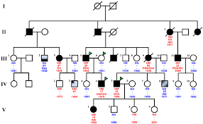 Pedigree Of The Family Showing Diabetes Status Of Each