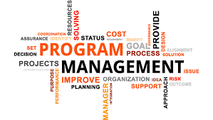 leveraging program project management