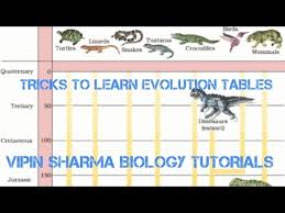 Videos Matching Tricks To Learn Evolution Chart And Some