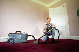 which is the best carpet cleaner