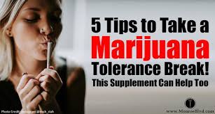 Marijuana Tolerance Withdrawal Symptoms And 5 Tips To Take