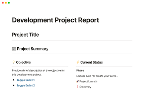development project report notion