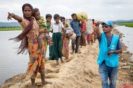 Image result for rohingya