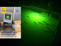 com underwater fish light