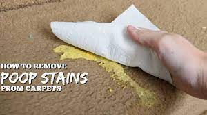 remove stains and smells from