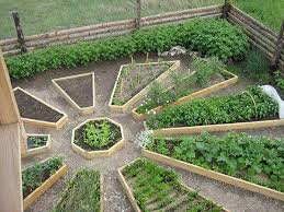 Vegetable Garden Raised To The Rank Of