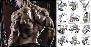 best muscle building back exercises