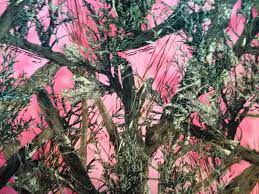 Pink Camo Mossy Oak Camouflage Pink
