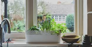 Growing Herbs On Your Windowsill