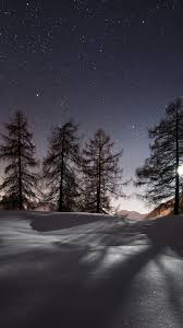 winter night snow tree hd phone
