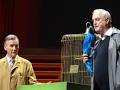 Image result for The dead parrot