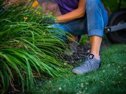 10 Best Gardening Shoes For Women