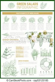 Salad Greens And Leaf Vegetable Infographic Design