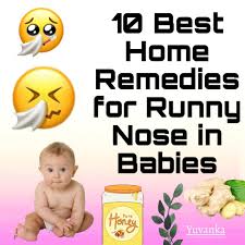 10 best home remes for runny nose in