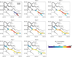 An Sf6 Tracer Study Of The Flow Dynamics In The Stockton