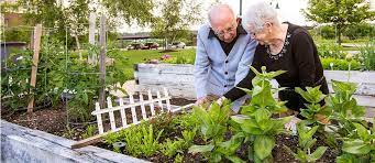 Gardening For Seniors Starters Guide
