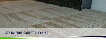 dry extract carpet cleaning steam