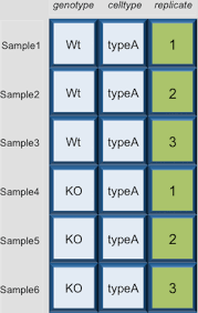 data wrangling dataframes matrices