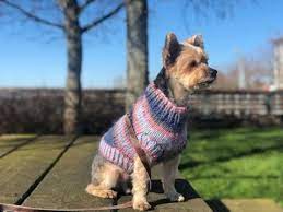 Diy Knit Dog Sweater With Bigger Leg