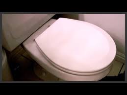 How To Replace A Toilet Seat You