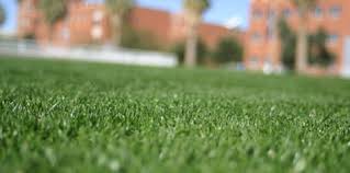 How to tell if you've watered enough Overseeding Bermudagrass Lawns With Annual Ryegrass Cooperative Extension The University Of Arizona