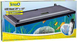 Amazon Com Tetra Led Hood 20 Inches By 10 Inches Low Profile Aquarium Hood With Hidden Lighting Aquarium Lights Pet Supplies