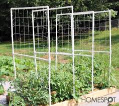 Easy Pvc Tomato Trellis Tomato