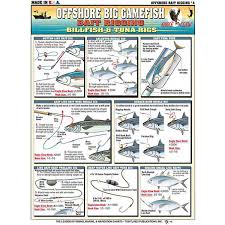 Bait Rigging Chart Billfish Tuna Card Tl Br4 8 99