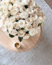 the meaning of white roses article on