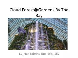 Ppt Cloud Forest Gardens By The Bay