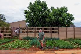 South African Cultivates Vegetable