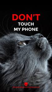 phone cute cat wallpapers dont touch my