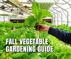 Fall Vegetable Gardening Guide For Texas