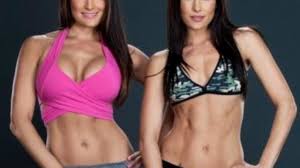 bella twins workout routine t plan