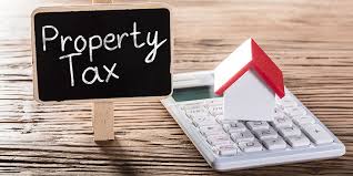 florida property tax what investors