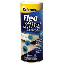 enforcer flea for carpets pbs