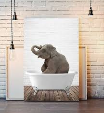 Elephant Animal In Bath Canvas Wall Art