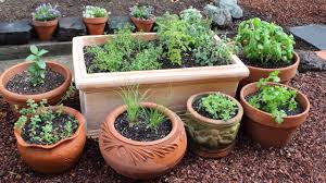 Maria is sharing her fabulous and very comprehensive tutorial for this amazing planter! How To Plant A Culinary Herb Garden Diy Kitchen Garden Youtube