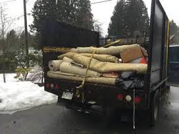 Big Phil's Rubbish Removal – Junk Removal Services in Maple Ridge, Coquitlam & PoCo