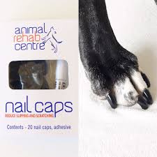 non slip soft rubber dog nail caps toe