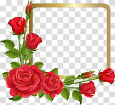 rose fl design garden roses