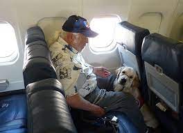 dogs flying on its airplanes