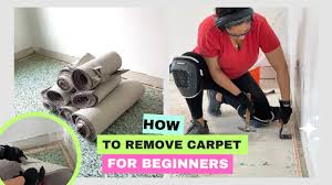 beginner friendly carpet removal