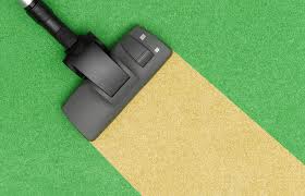 all natural carpet cleaning service of