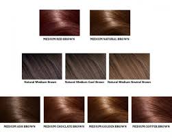 Loreal Color Chartdifferent Blondebrownreddark Hair Color