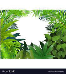 tropical forest background royalty free