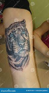 тигр татуировки с голубыми глазами Редакционное Фото - изображение  насчитывающей глаза, славно: 48791521