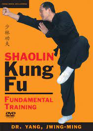 shaolin kung fu fundamental training ymaa