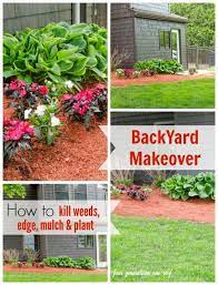 Flower Bed Makeover Before And After