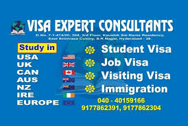 visa expert consultants in sriram nagar